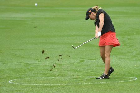 شرط بندی روی گلف