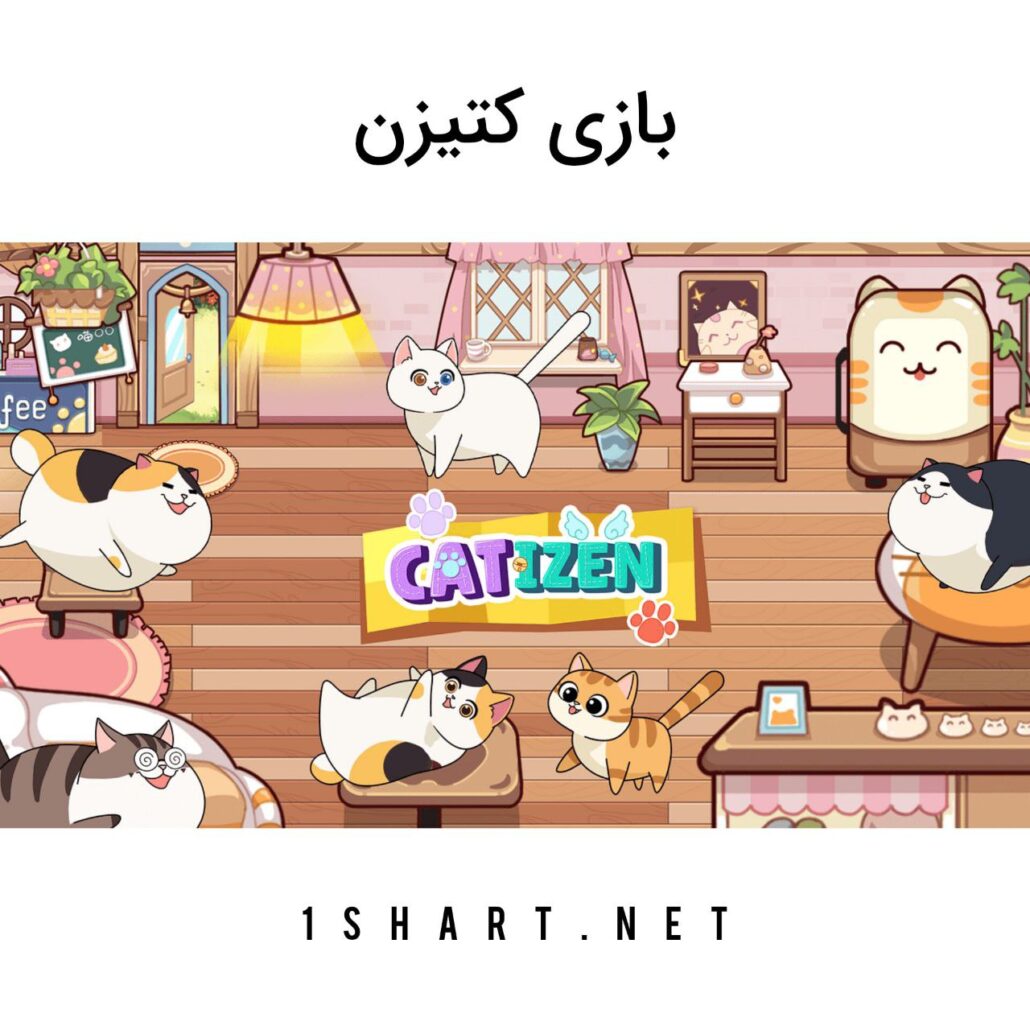 بازی کتیزن catizen
