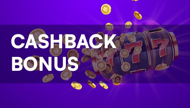 قوانین شرط رایگان روزانه بت میز